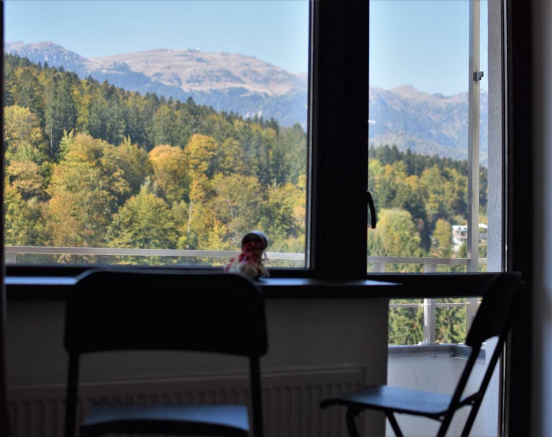 Sinaiamountainview - Vista Lejlighed Eksteriør billede